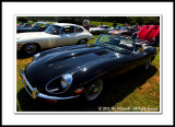 E-Type Jaguars