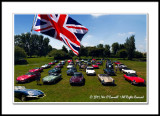 E-Type Jaguars