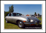 E-Type Jaguars