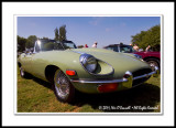 E-Type Jaguars