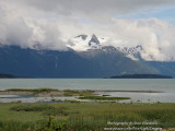 Looking Across Chilkat Inlet to the Mountains of the Juneau Ice Field