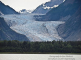 Davidson Glacier from Chilkat Inlet