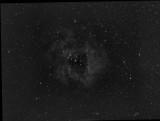 NGC2237_OIII.jpg