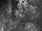 IC1318 in Cygnus