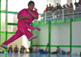 Campeonato Nacional Selectivo Wushu México 2011