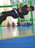 Wushu