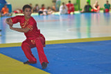 Wushu