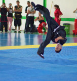 Wushu