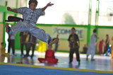 Wushu