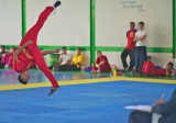 Campeonato Nacional Selectivo Wushu México 2011