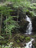 Mouse Creek Falls