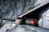 Lasha, BC
