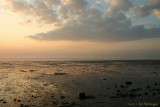 Waddenzee / Waddensea