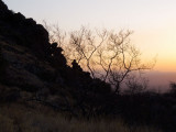 View west toward Las Cruces from Organ Mountains