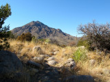 Aquirre Springs on east slopes of Organ Mountains