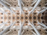 Sagrada Familia -- Pillars and ceiling of cathedral