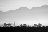 Early morning fog in Mesilla Valley, Organ Mts. in background