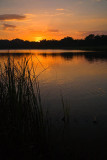 Sunset over New River Lagoon