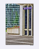 Fine Arts (SUNYA Campus)