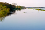 The Narew River