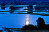 The Backwaters of Bug River