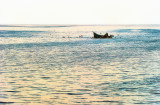 Agadir Fishermen