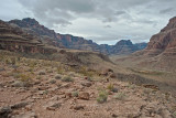 At The Bottom of Grand Canyon