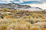 Mono Basin