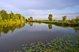 Ponds in Stary Lubliniec