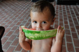 I Like watermelon 2.jpg