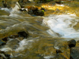 Coldwater Creek 2.jpg