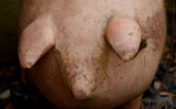 Pig Pot.jpg