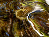 Coldwater Creek Reflections 1.jpg