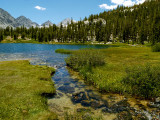 Marsh Lake 4.jpg