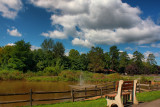 Cook Park in HDR<BR>August 22, 2011