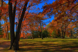 Autumn Scene in HDR<BR>November 5, 2011