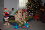 Glindas Christmas Toys<BR>January 3, 2012