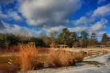 Park Pond in HDR<BR>January 20, 2012
