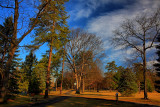 Local Park in HDR<BR>March 14, 2012