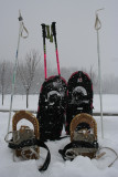 Snowshoes<BR>January 1, 2008