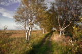 LABOITEAU DE ST-ANDRE