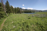 Trout Lake