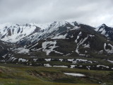 Denali NP 14.JPG