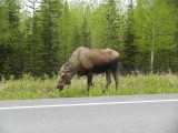DSCN0635.JPG