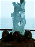 9844.SeaHorse In Ice