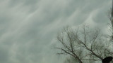 0281-Mammatus Clouds