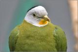 CRW_8783w.jpg