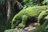 Komodo dragon. Mandala Wisata Wenara Wana (Sacred Monkey Forest)