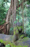 Hangover? Mandala Wisata Wenara Wana (Sacred Monkey Forest)