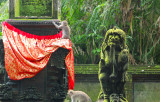 Rangda! Mandala Wisata Wenara Wana (Sacred Monkey Forest)